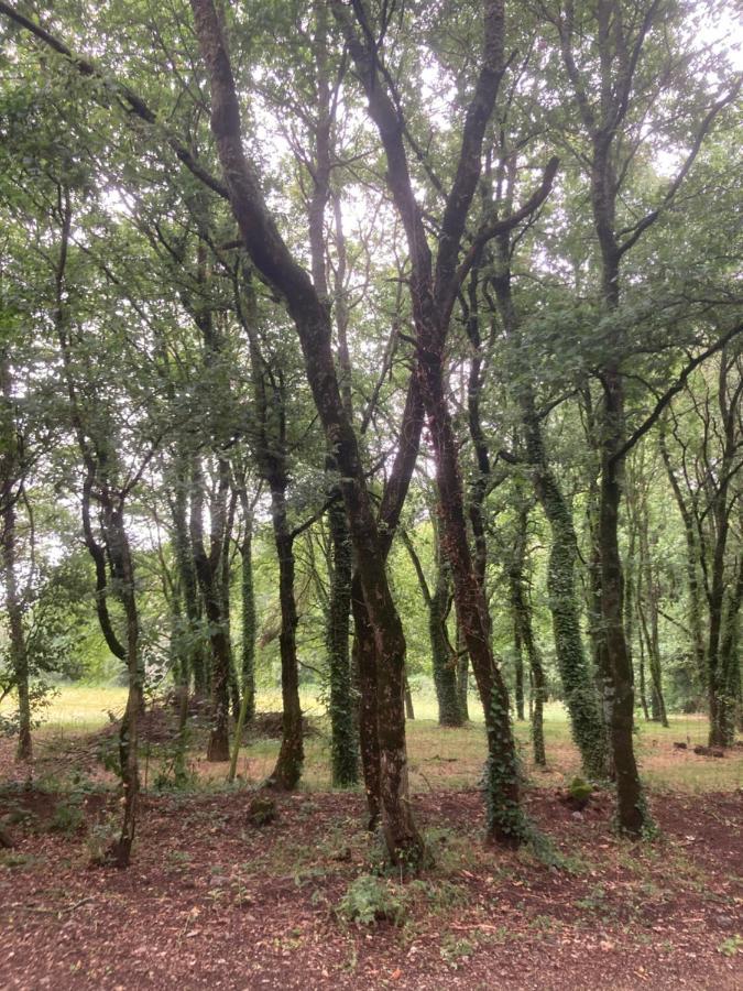 Camping Vila De Sarria Bagian luar foto