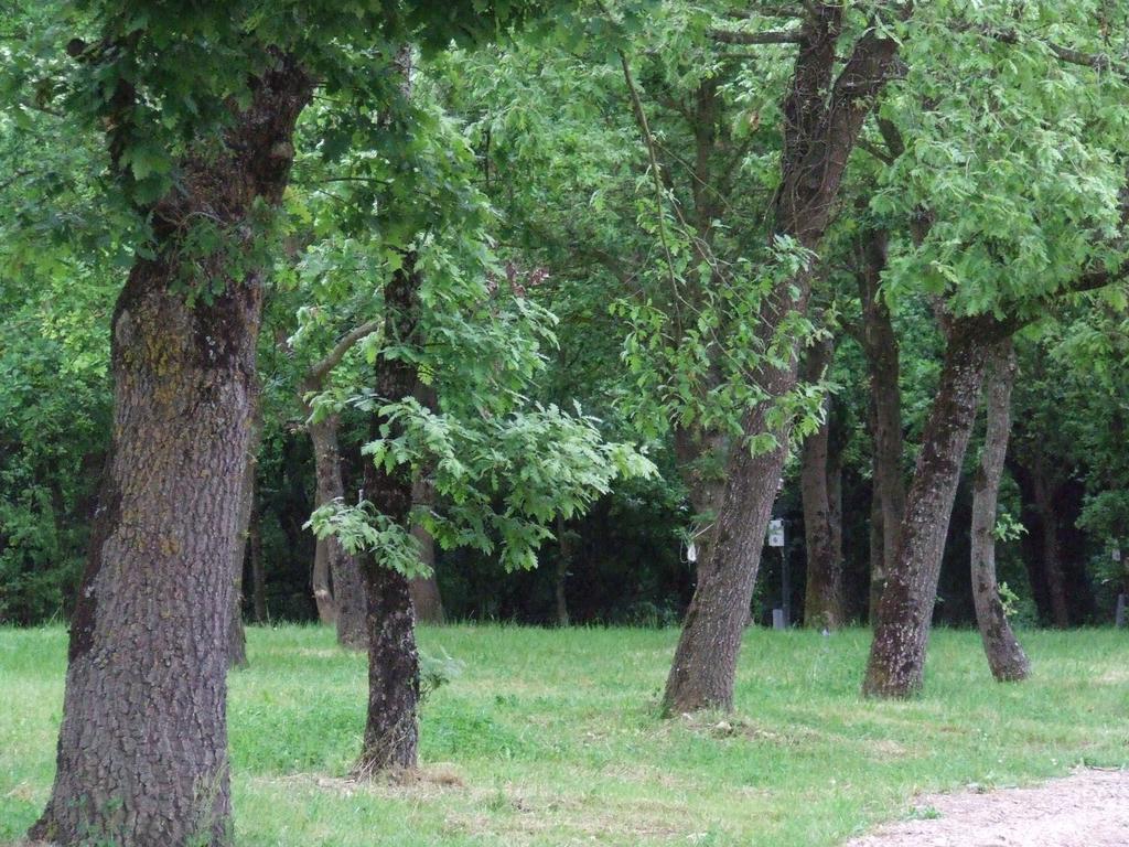 Camping Vila De Sarria Bagian luar foto